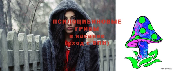 винт Киренск