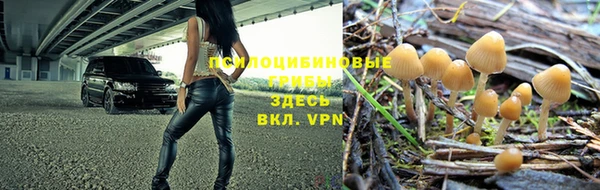 меф Киреевск